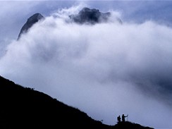 Nov Zland, Milford Track