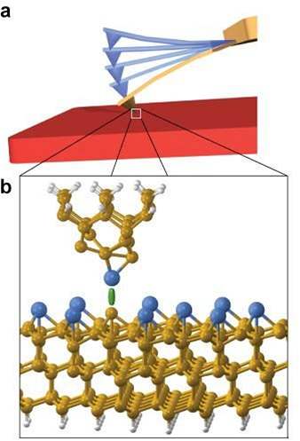 Schematický obrázek funkce mikroskopu atomárních sil