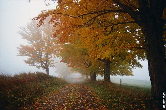 Ranní mlhy nebudou podle meteorolog v nadcházejících ticeti dnech ádnou výjimkou. Ilustraní foto.