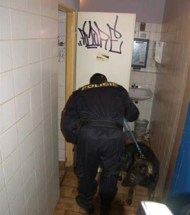 Razie zlnskch policist. (1. listopadu 2008)