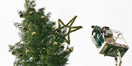 Vení ozdob na Vánoní strom na námstí Svobody