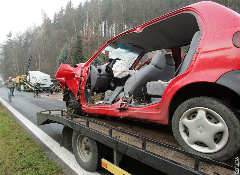 Nehodu u Jílového na Dínsku zpsobil divoák pebíhající pes silnici. idi erveného vozu nehodu nepeil.