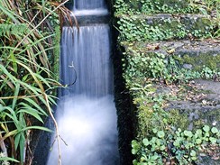 Madeira, levdy