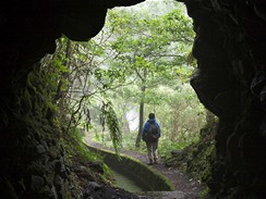 Madeira, levda do Norte