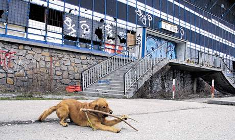 Ruiny zimního stadionu za Luánkami