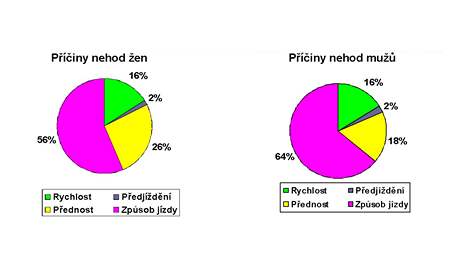 Statistiky nehodovosti eny v. mui