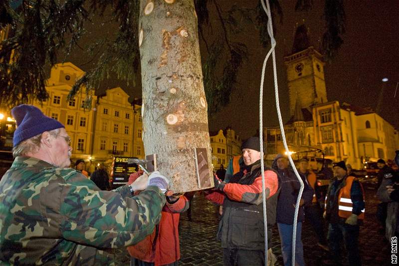 Dlníci se chystají ukotvit devadesátiletý vánoní smrk do pipraveného otvoru na Straromstském námstí