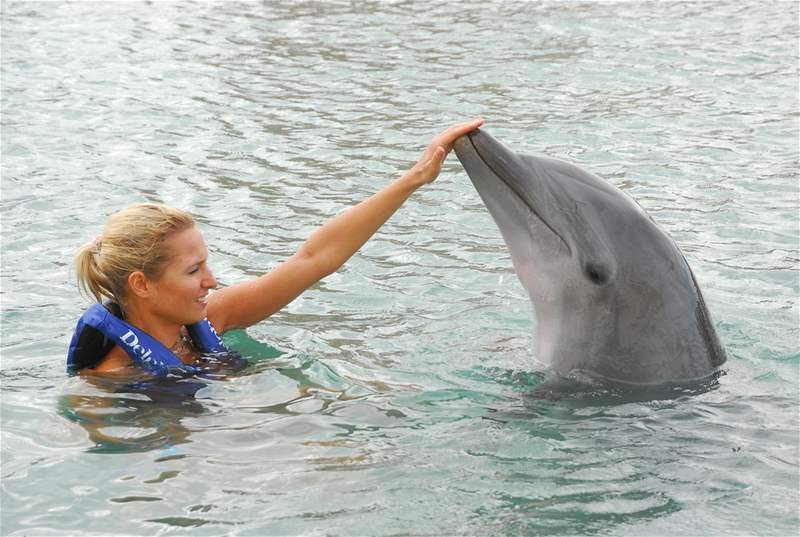 Romana Pavelková plavala v moi s delfíny