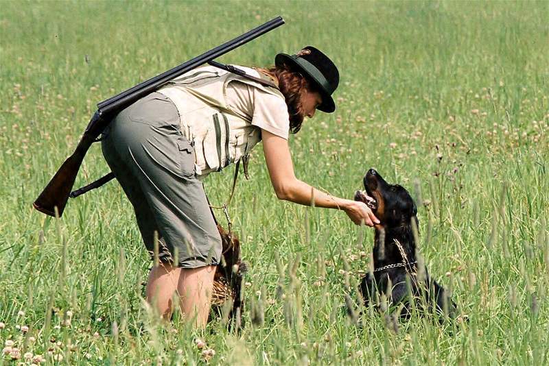 Gordon setter