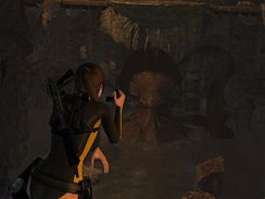 Tomb Raider: Underworld (PC)