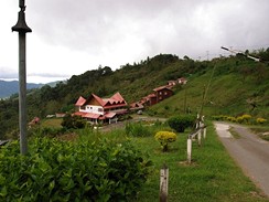 Borneo