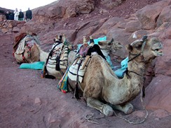 Egypt, Dahab