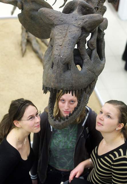 Prvn esk muzeum s kostrou dinosaura je na praskm Albetrov