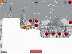 Foxkeh in Winter