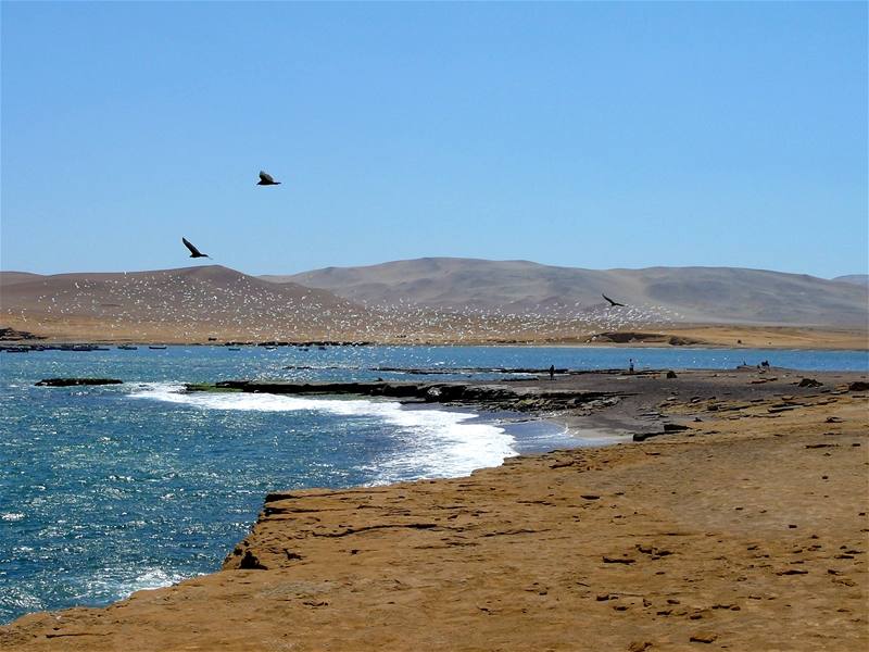 Peru, poblí rezervace Paracas