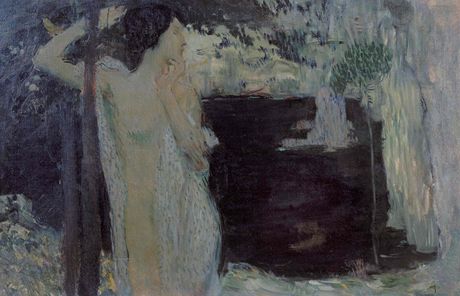 Jan Preisler - ena u ernho jezera (1904)