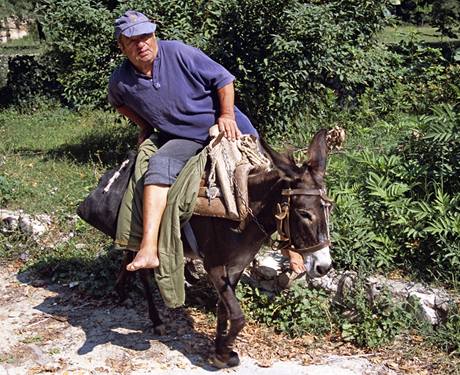 Jeden z klient ádal i proplacení jízdného, které musel v cizin zaplatit domorodému majiteli za pouití oslíka pi cest k lékai. Ilustraní foto