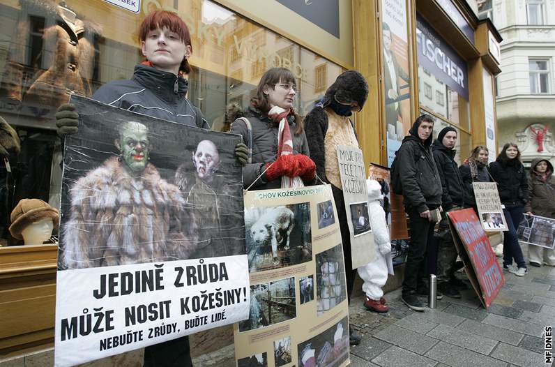 Protest proti koeinám na námstí Svobody v Brn