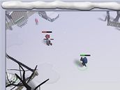 Snowball Warfare