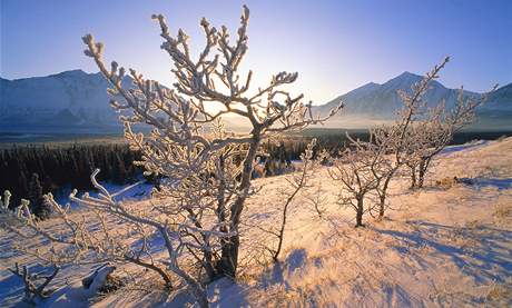 Snhová peina se na eských horách objeví a za více ne msíc, pedpokládají meteorologové. Ilustraní foto
