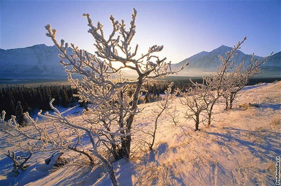 Teploty pes noc klesají pod nulu, vlekai mohou zaít se zasnováním holých kopc. Ilustraní foto