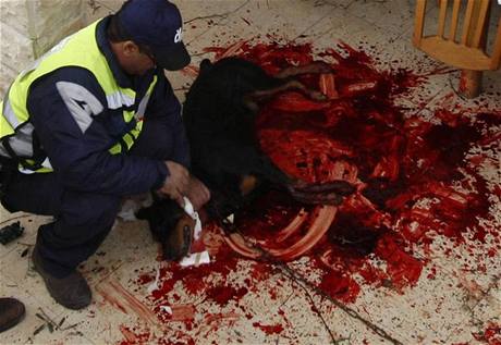 Izraelsk policista u raketou zrannho psa ve Sderotu