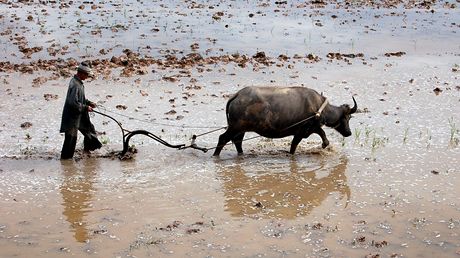 Laos, okol Savannakhetu