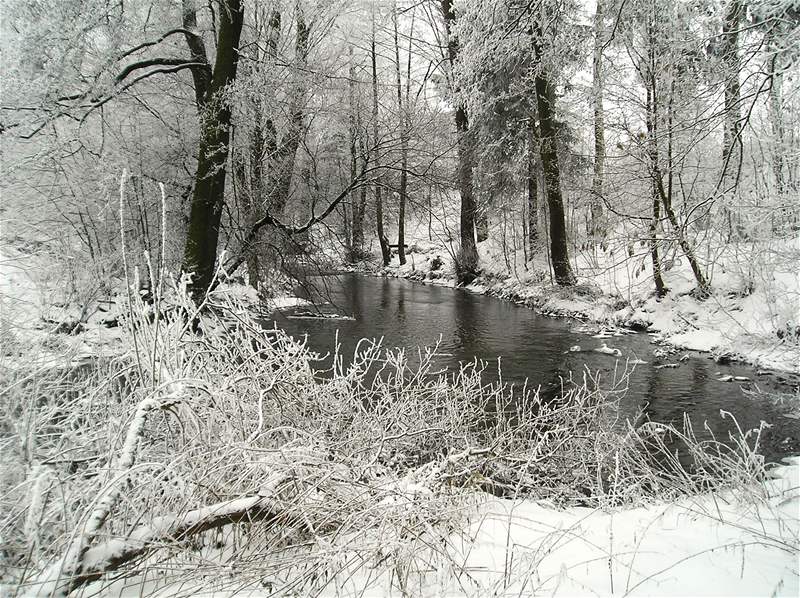 Mnohé eky a potoky v zim nezamrzají