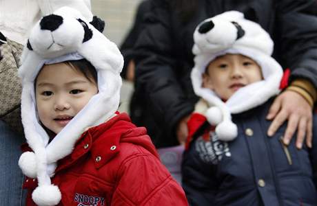 Na pandy v tchajpejsk zoo se dorazily podvat davy lid.