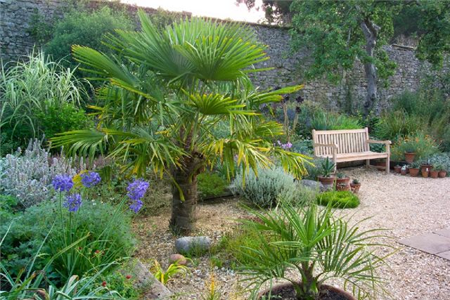 Pokud vám palmy úspn pekají nai zimu, mete se zaít tit na úasnou atmosféru, kterou vám na zahrad vytvoí v lét. 