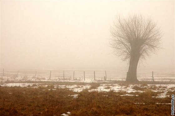 Ve stedu oekávají meteorologové snhové peháky u v nadmoské výce nad 500 metr. Ilustraní foto.