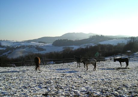 Slovensko, vlet na hrad Tematn