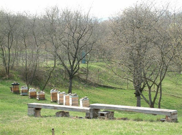 Toulcv dvr je unikátní i vlastní produkcí velího medu.