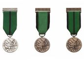 Irsk republika - Medaile Za zsluhy