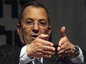Stranu prce vede do voleb souasn ministr obrany Ehud Barak.