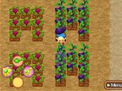 Harvest Moon DS: Island of Happiness