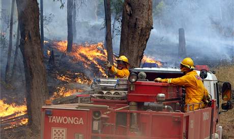 Hasii bojuj s plameny v Kiewa Valley - v horch ve stt Victoria (10. nor 2009)