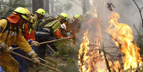 Australskm hasim pomhaj Novozlanan pobl msta Reefton, vchodn od Melbourne (17. nor 2009)