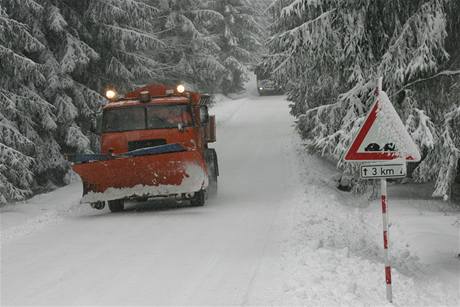 Silniái na silnici mezi Dalovem a Horní Lodnicí na Olomoucku (11. 2. 2009)