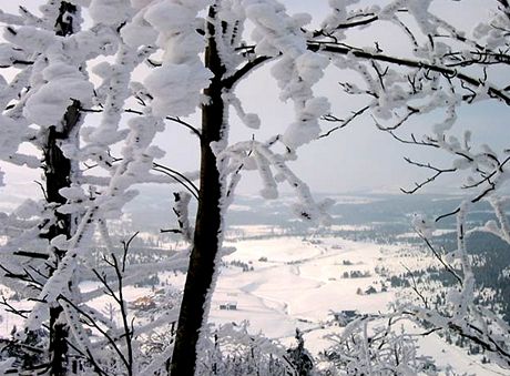 Jizerka z Bukovce