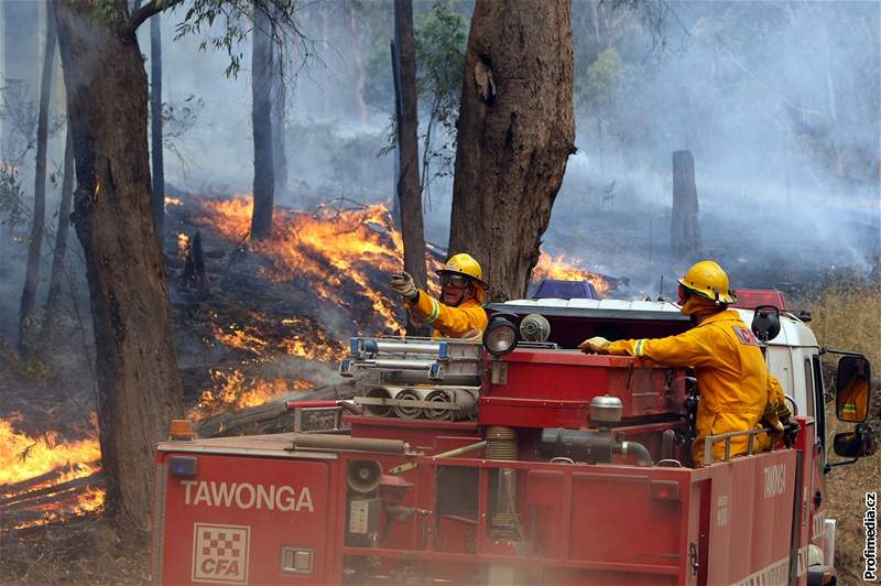 Hasii bojují s plameny v Kiewa Valley - v horách ve stát Victoria (10. únor 2009)