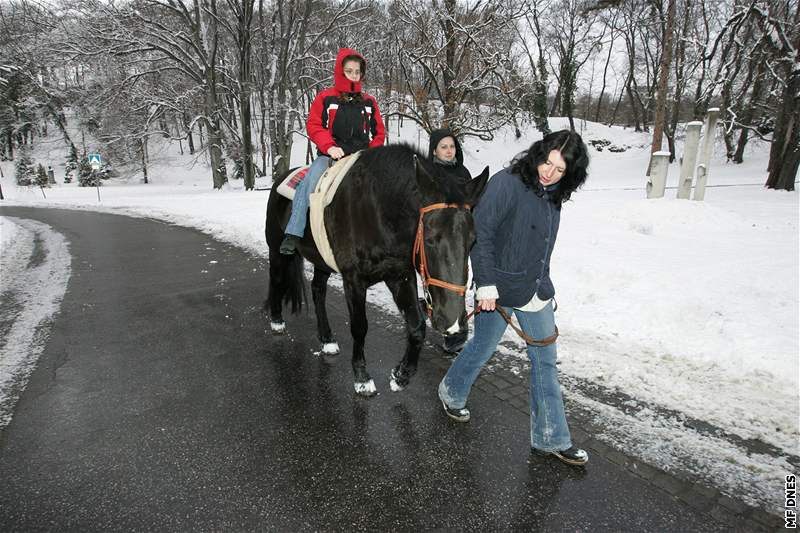 Výroí 90 let Kociánky - souástí terapií je i hipoterapie 