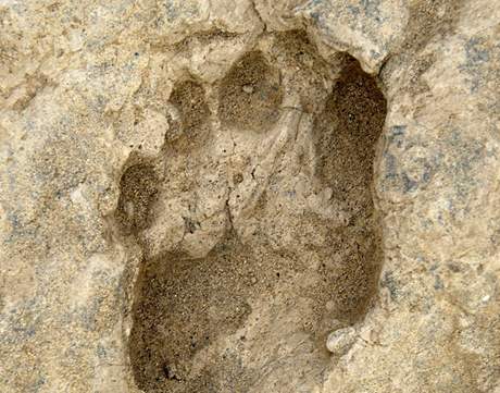 Fosilie lidských stop z Keni staré 1,5 milionu let