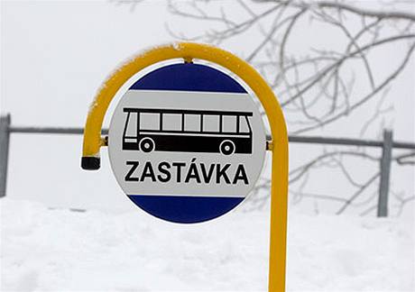 ena sraená autobusem u zastávky podlehla mnohoetným zranním. Ilustraní foto.