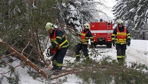 Hasii odstraují na Zlínsku strom, který padl na vozovku.