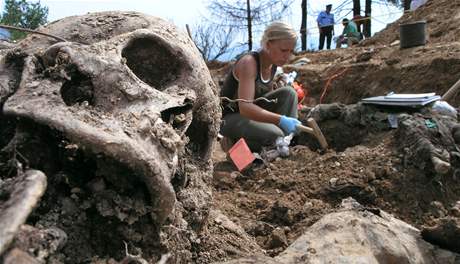 Kadý rok se v Bosn v masových hrobech nacházejí dalí tla.