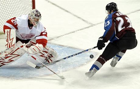 Milan Hejduk válí v NHL. Te by se chtl znovu pedvést i v reprezentaci