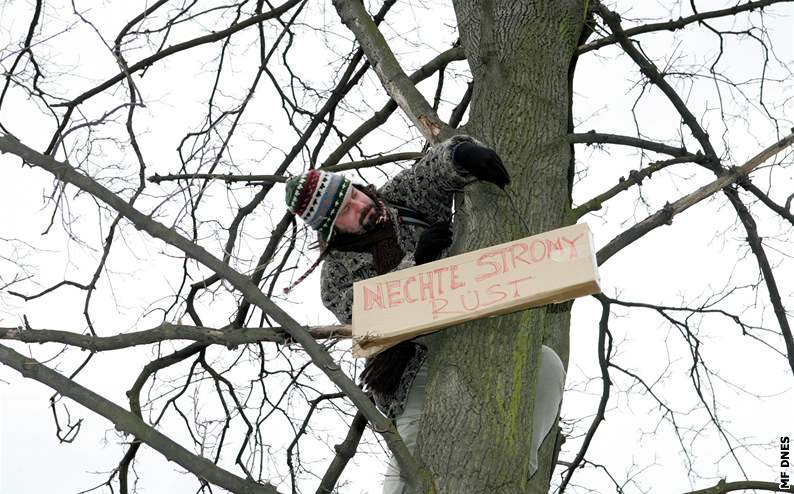 Aktivisté brání stromy, které se kácí v parku u Léebny dlouhodob nemocných ve Vysokém Mýt (5. 3. 2009)
