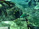 Spearfishing