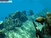 Spearfishing